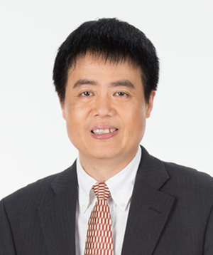 Prof. Hongjie